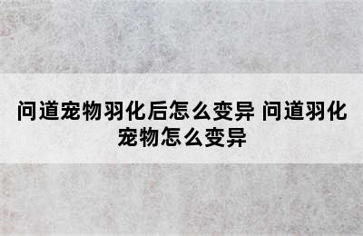 问道宠物羽化后怎么变异 问道羽化宠物怎么变异